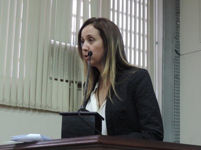 28ª sessão aprova 12 projetos