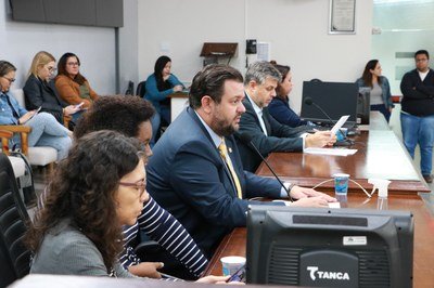Audiência sabatina secretária sobre educação especial na rede municipal