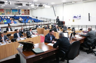 Câmara analisa novas regras para podas de árvores 