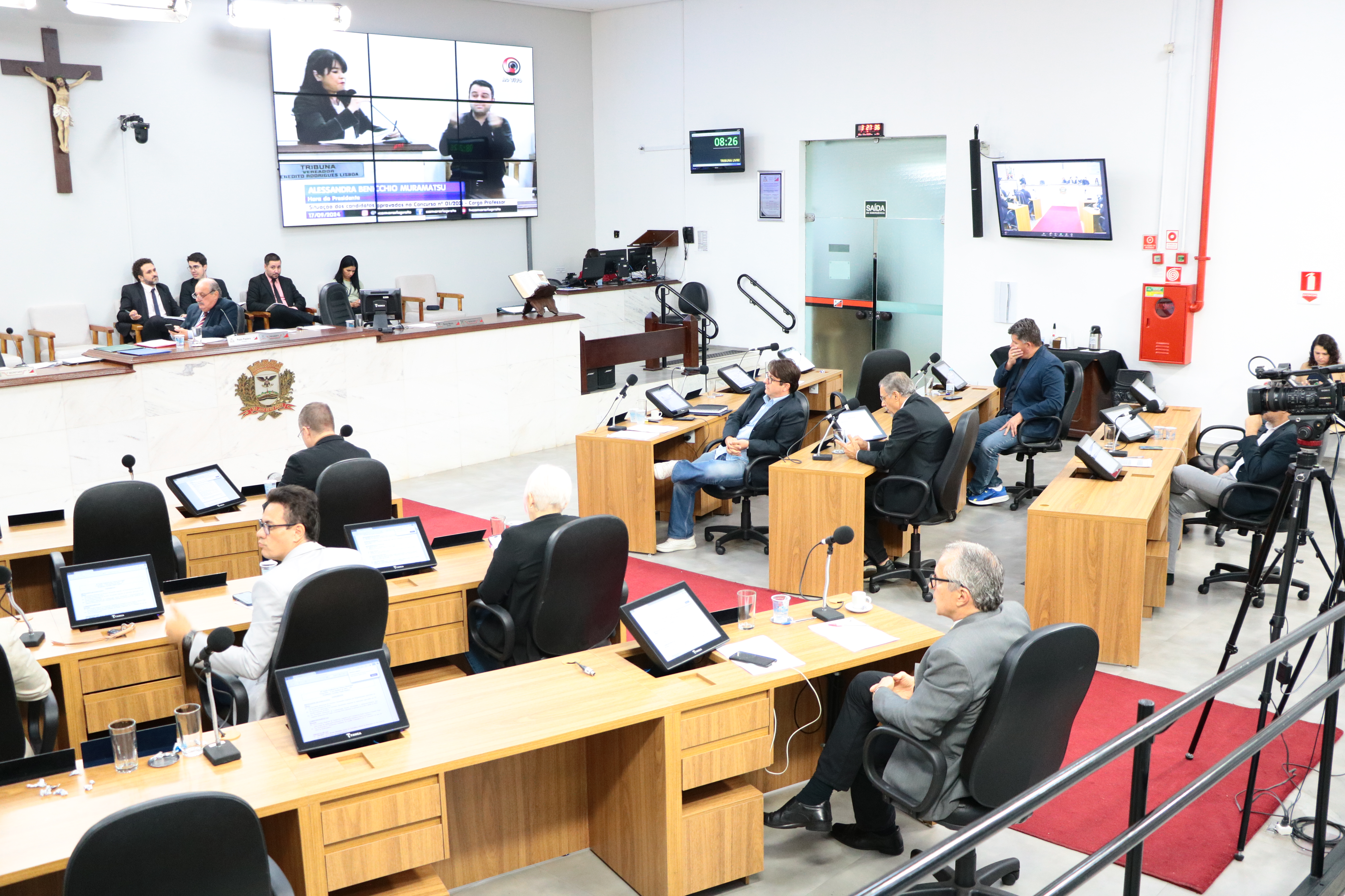 Câmara analisa novos critérios para podas de árvores