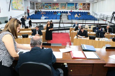 Câmara aprova projeto que autoriza a entrada de pets em hospitais