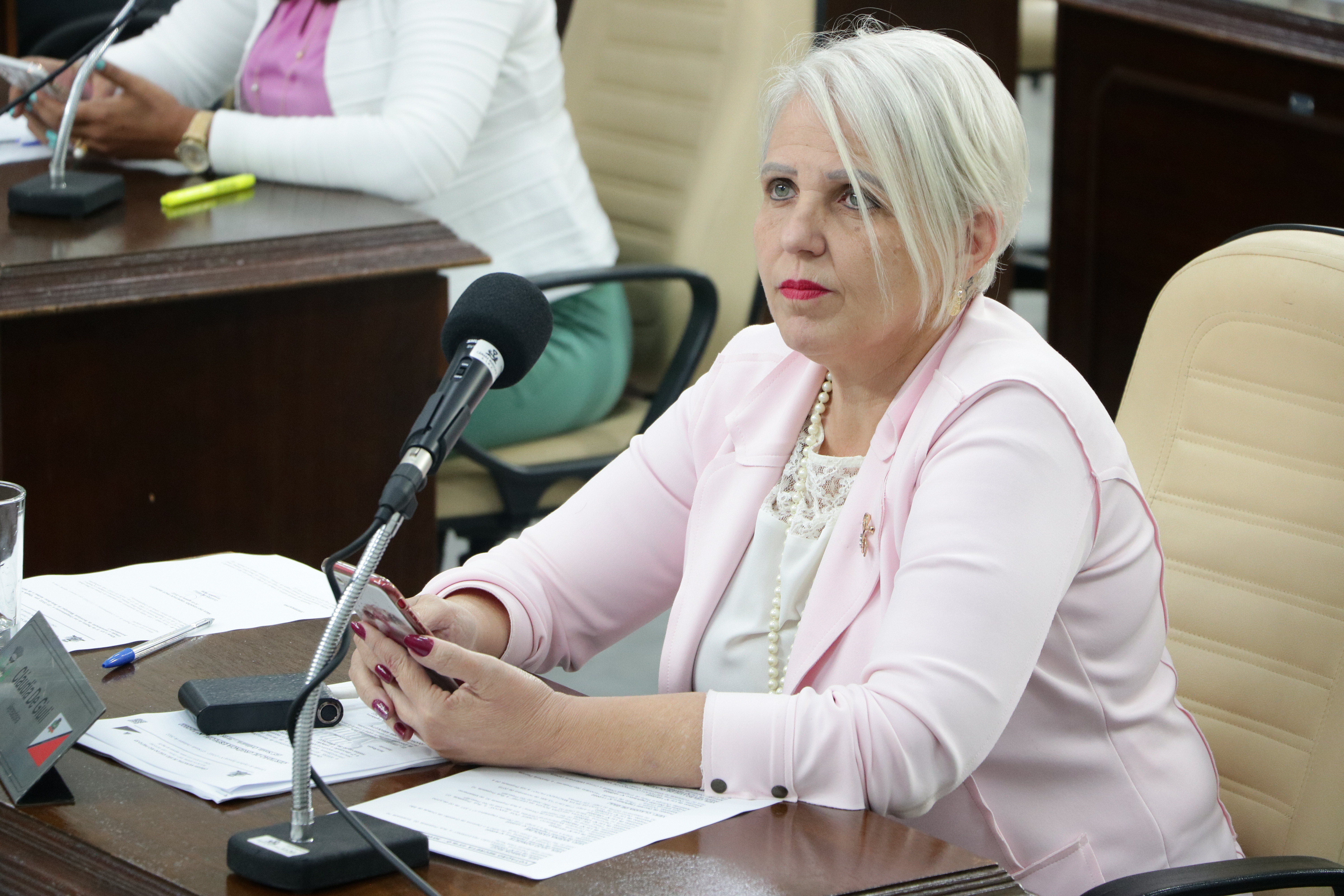 Câmara aprova Secretaria do Bem-Estar Animal