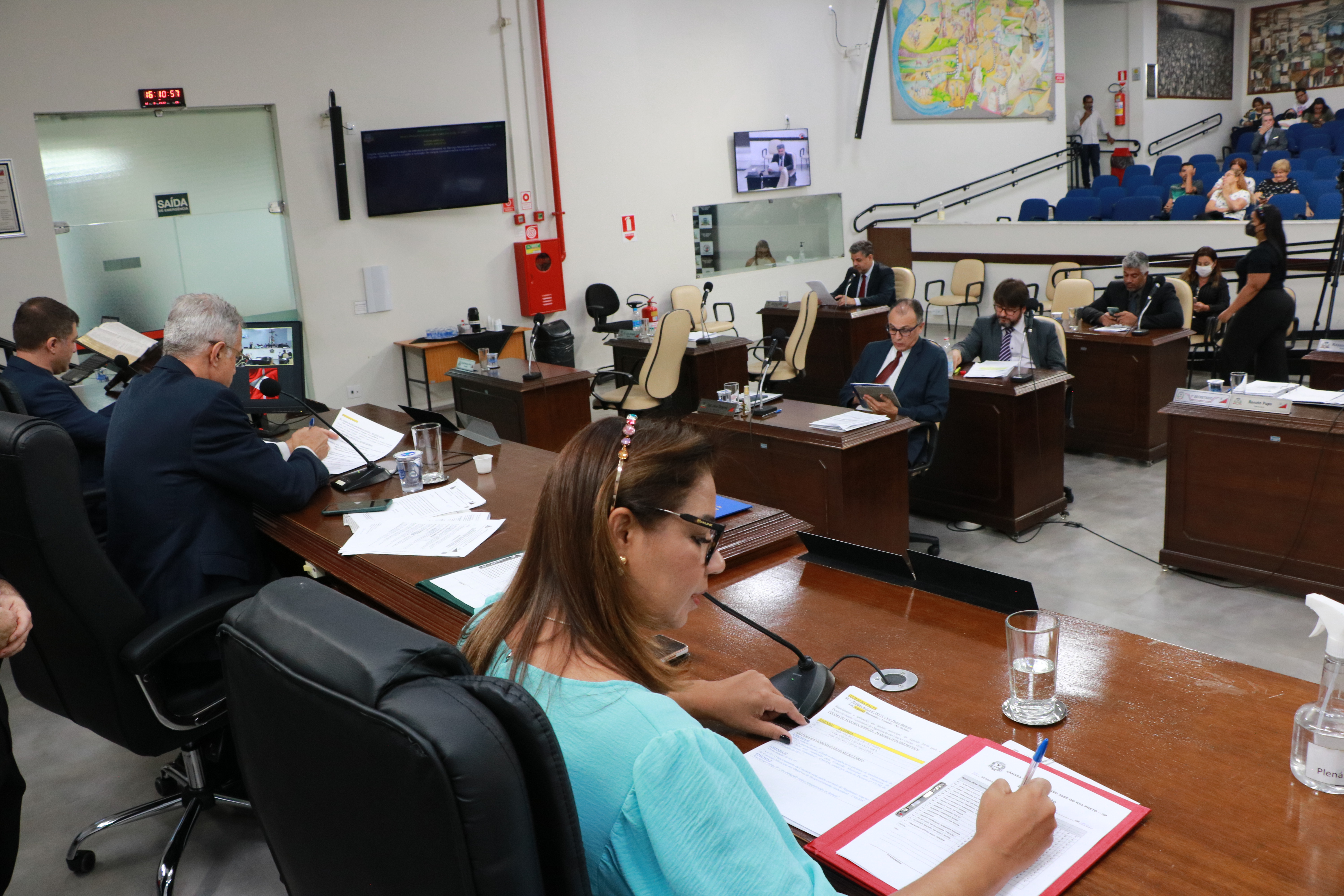 Câmara de Rio Preto vota criação da secretaria municipal do Bem-Estar Animal 