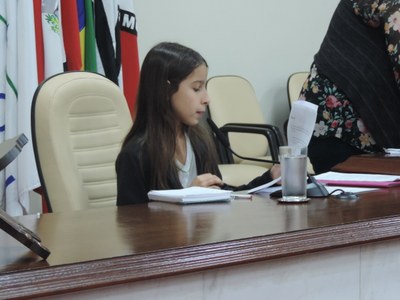 Câmara Mirim se reúne para segunda sessão ordinária