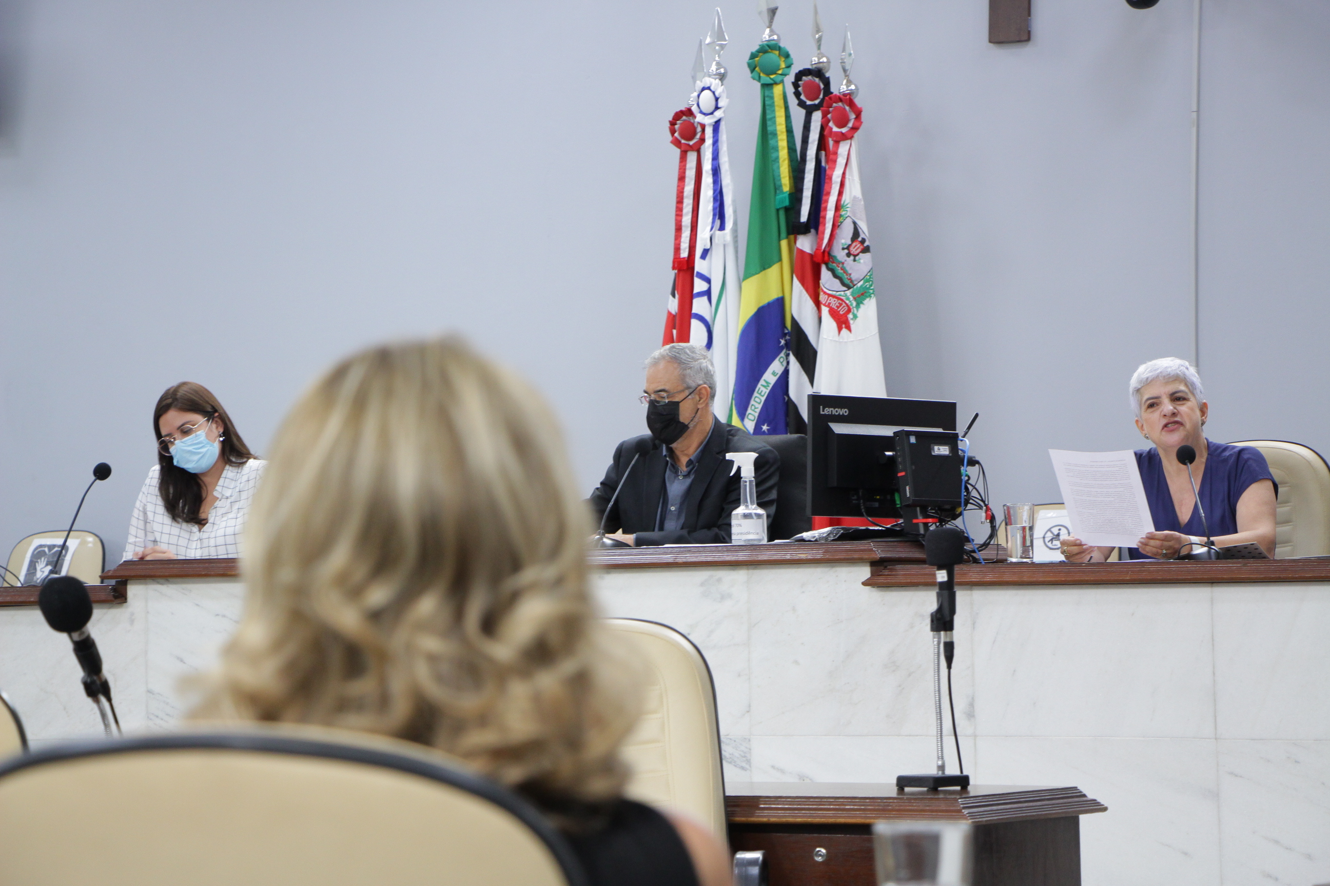 Câmara sedia audiência sobre reestruturação do Conselho da Mulher