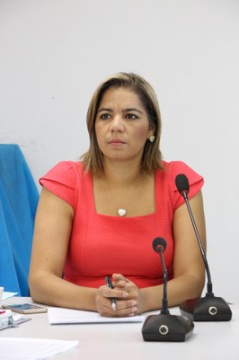 Comissão de Obras recebe secretários para debater obras antienchente
