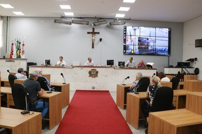 Comissão do idoso realiza reunião com ILPIs