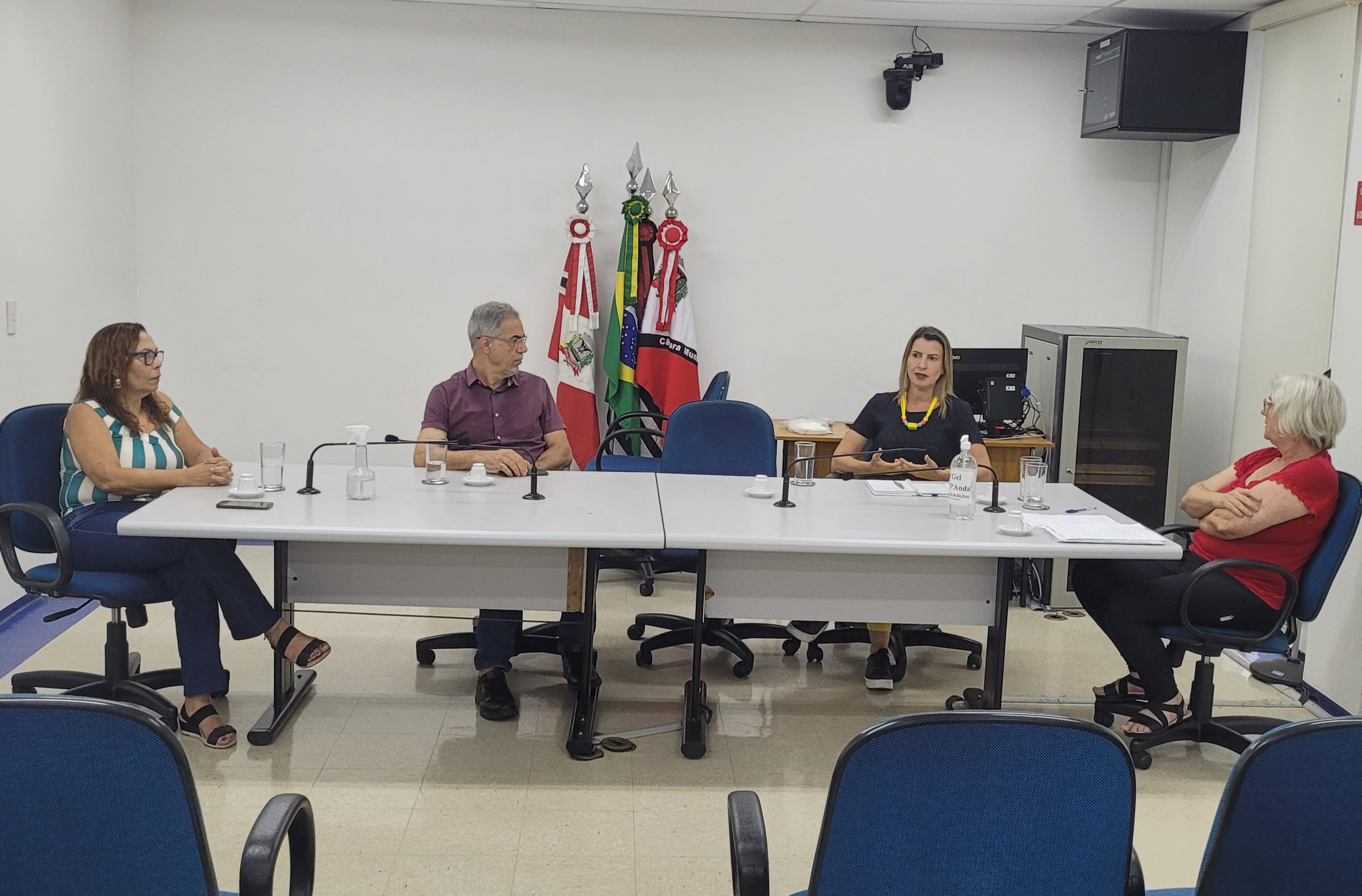 Comissão do Idoso realiza reunião na Câmara 