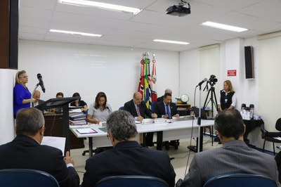 Comissões Permanentes são definidas na 1ª sessão do ano
