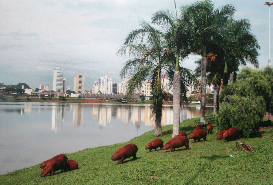 Condeminha deve iniciar atividades ainda este ano