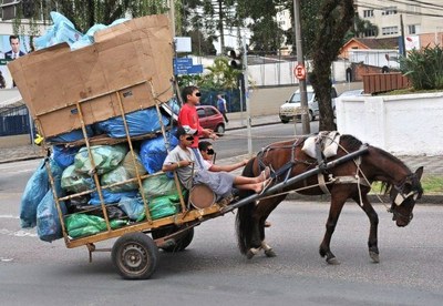 Dourival quer proibir uso de cavalos e jumentos para transportar carga