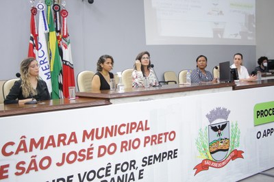 Escola do Legislativo realiza fórum 'E agora sou mãe?'