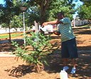 "Eu Cuido do Meu Ambiente" na programação da TV Câmara