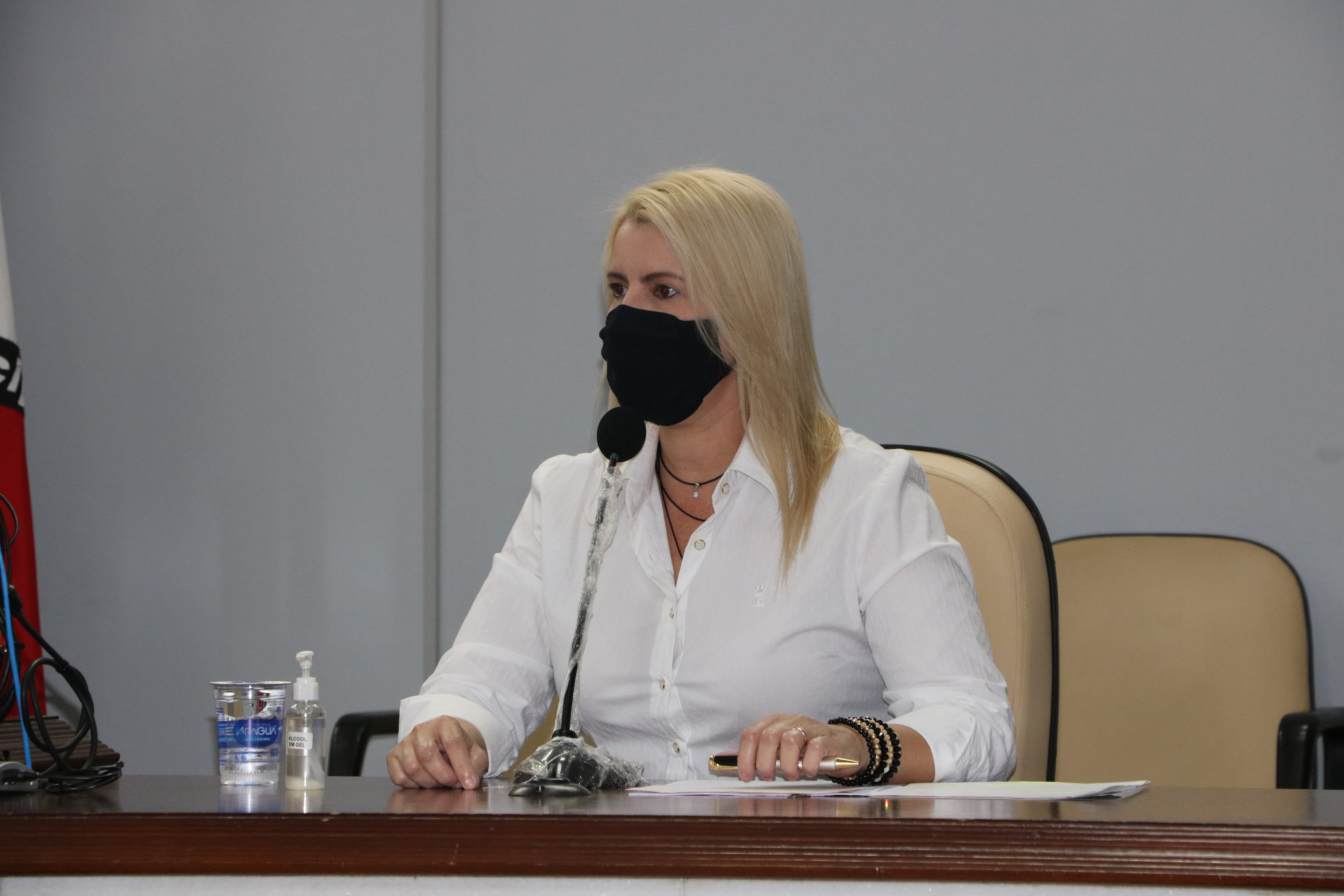 Frente Parlamentar ouve Secretária de Assistência Social