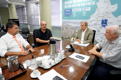 Pauléra vai presidir comissão para debater projeto de internação involuntária