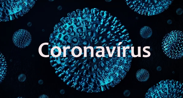 Risco de coronavírus cancela 8ª sessão ordinária da Câmara