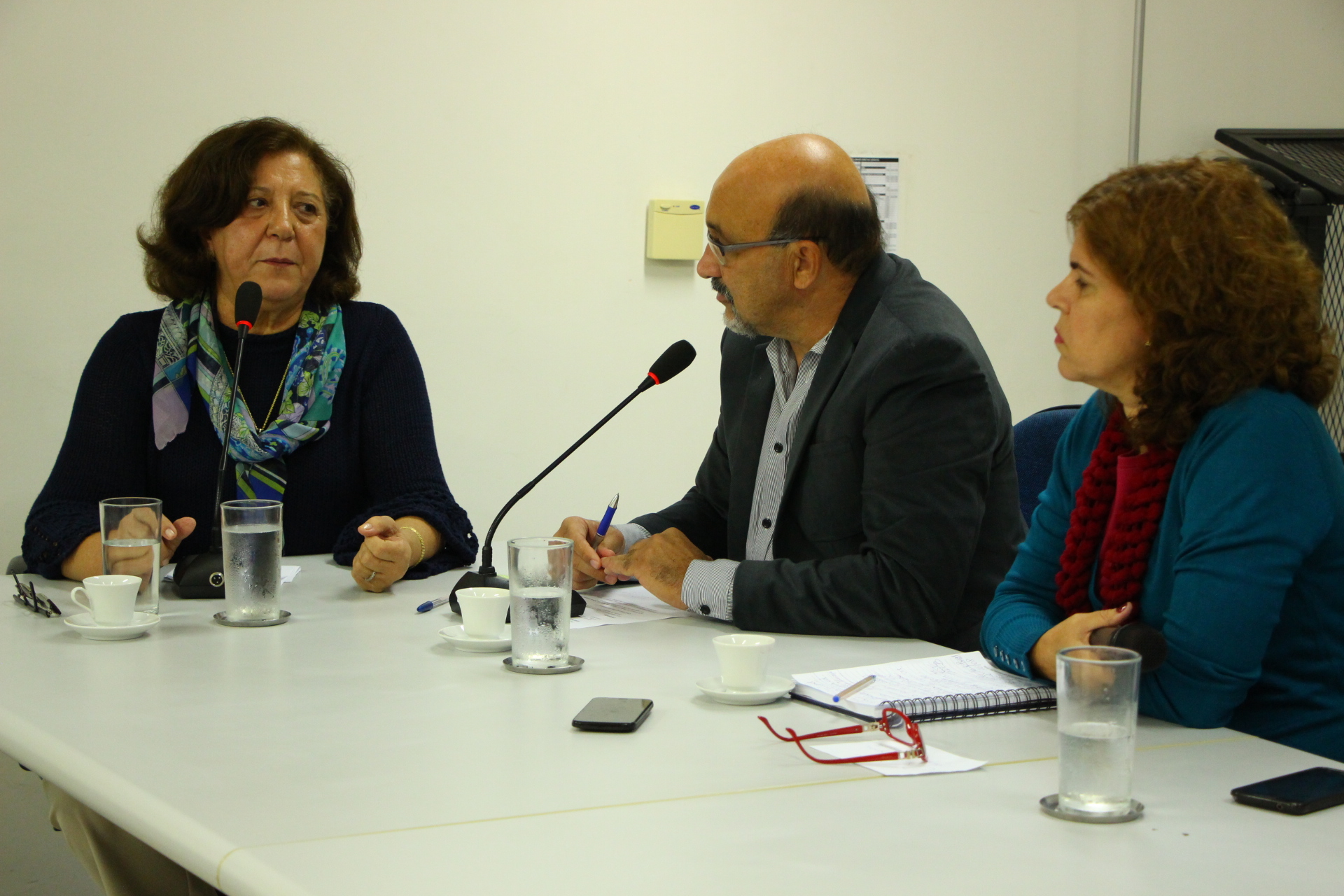 Secretária de Educação responde a questionamentos de vereadores