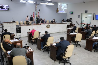 Vereadores analisam Plano Plurianual e veto a cavalos em carroças