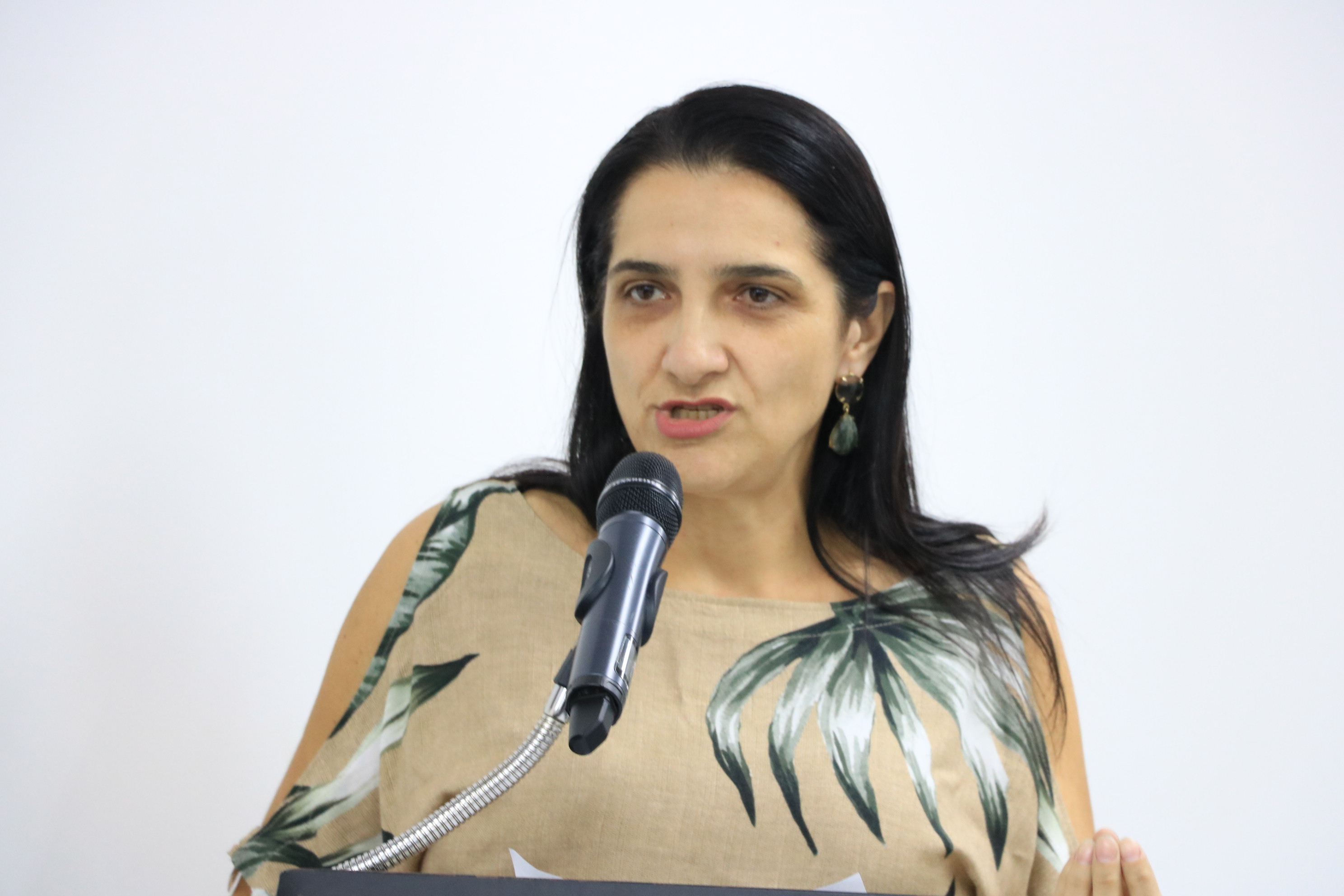 Vereadores aprovam projeto que regulamenta transporte por aplicativo