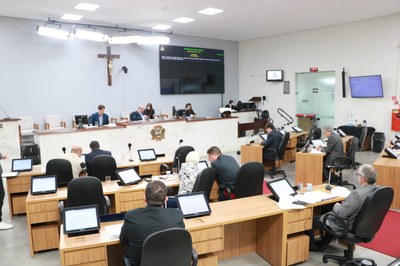Vereadores aprovam projeto de conscientização sobre saúde mental materna
