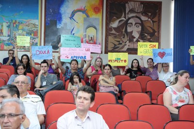 Vereadores liberam presença de doulas em hospitais de Rio Preto