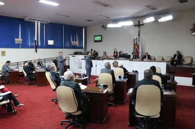 Vereadores votam CEV para estudar maus tratos contra crianças