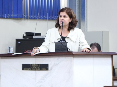 Vereadores votam projeto que amplia participação popular no Plano Diretor