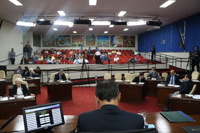 Vereadores votam recursos para Exposição